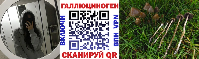 Псилоцибиновые грибы ЛСД  Саянск 